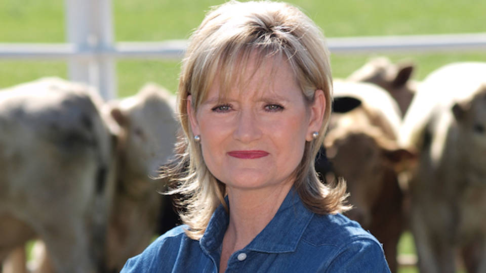H15 cindy hyde smith