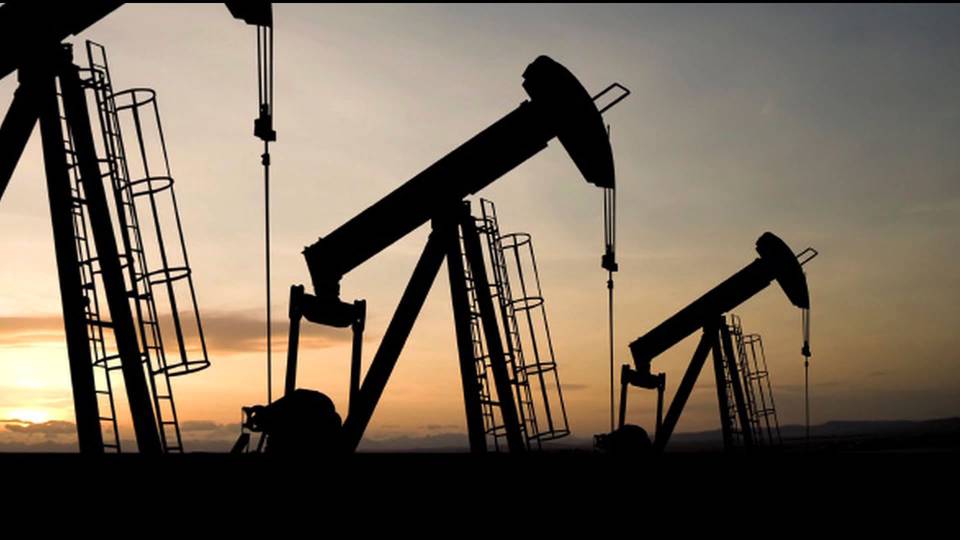 Oil