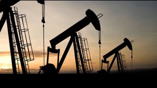 Oil