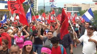 H11 honduras