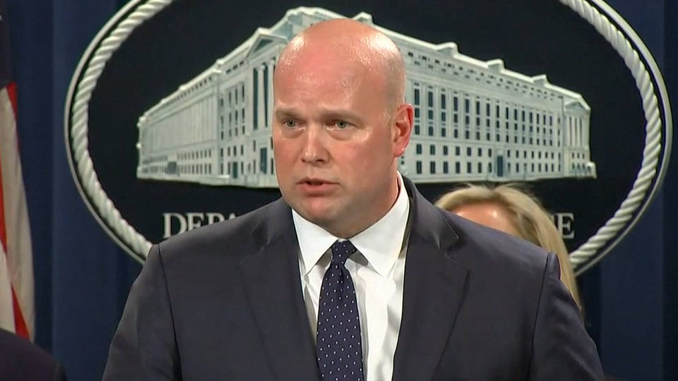H8 whitaker
