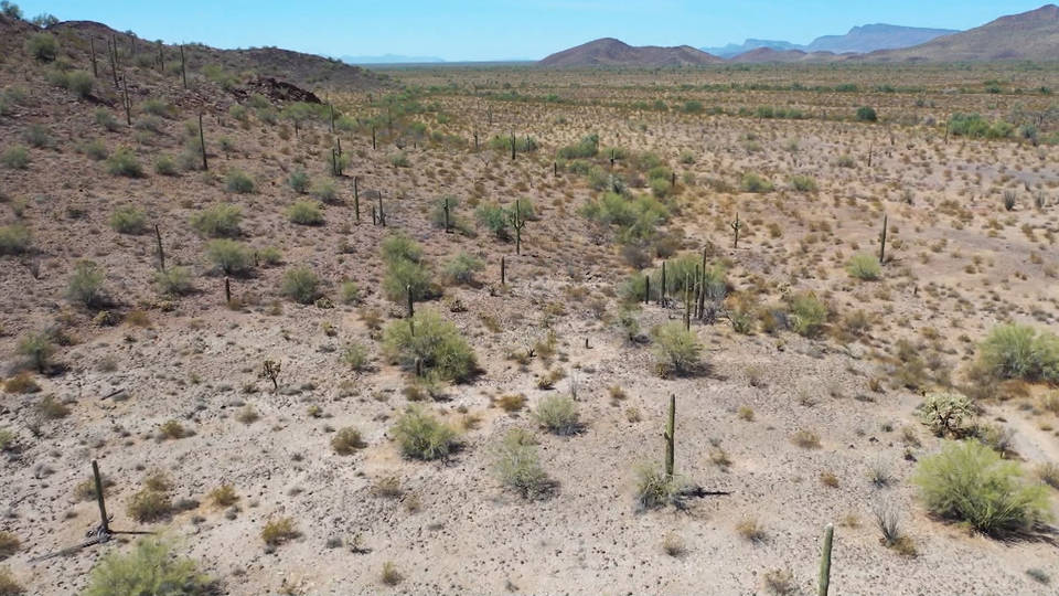 H5 no more deaths border angels people helping people border zone human remains found us mexico border arizona desert migrants