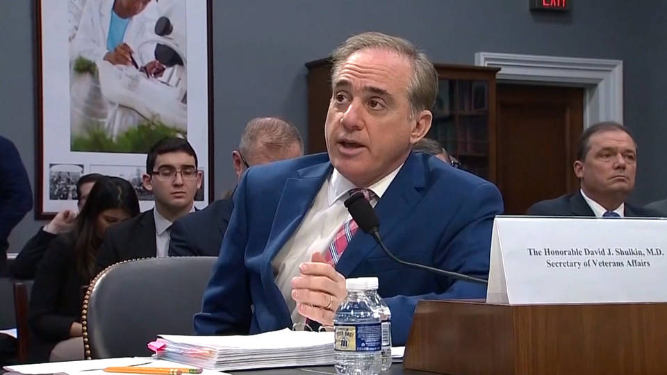 H1 shulkin