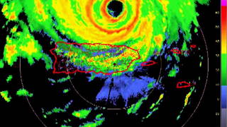 H01 irma