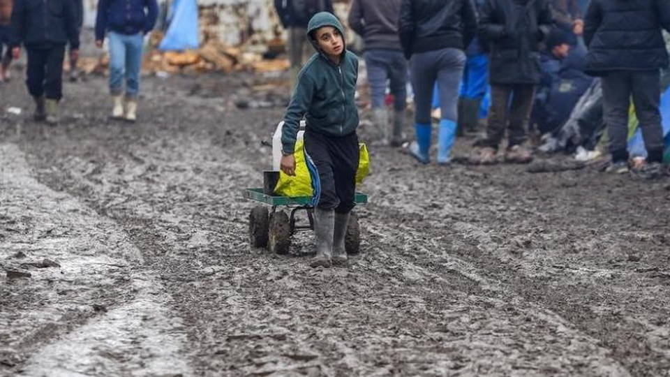 H06 calais children