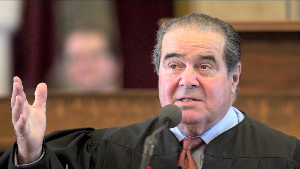 Hdlns1 scalia