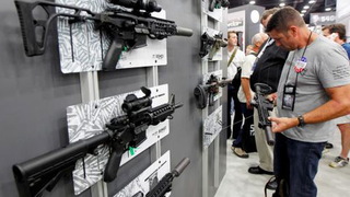 Hdlns5 guns