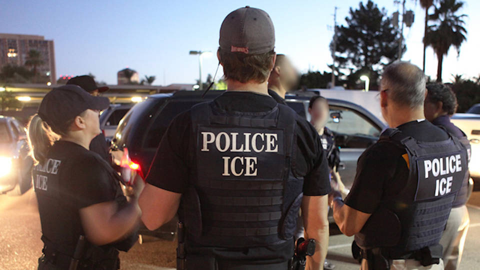 h13 ice raids up