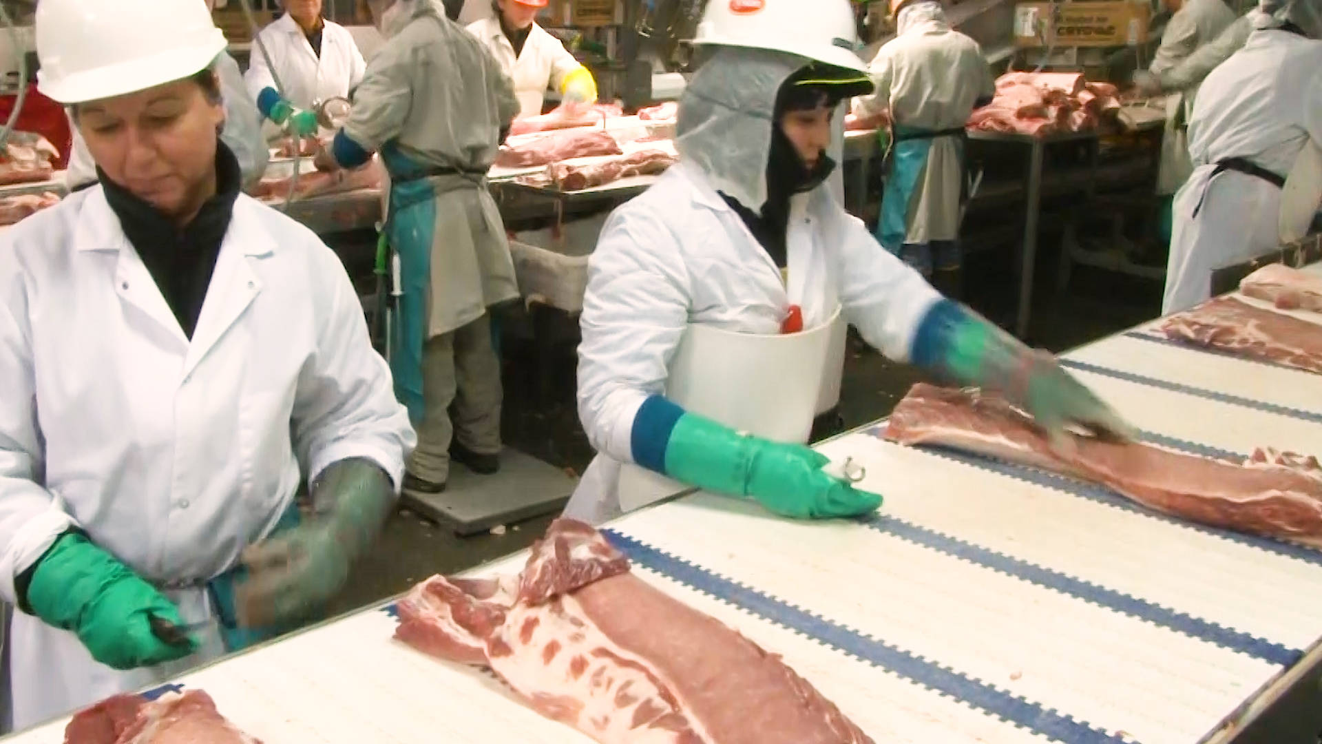 Iowa Tyson Foods Plant Halting Operations After 500+ Workers Test ...