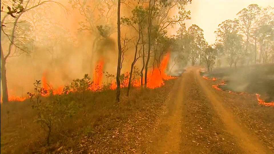 H10 sydney australia shrouded smoke unprecedented wildfire rage victoria queensland states