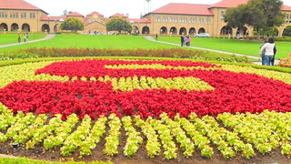 Hdlns10 stanford