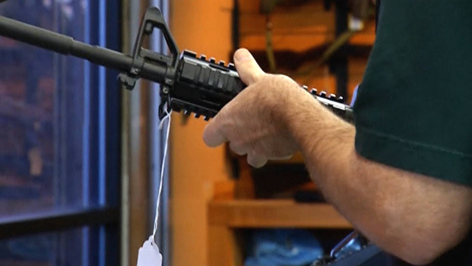 H8 gun bill