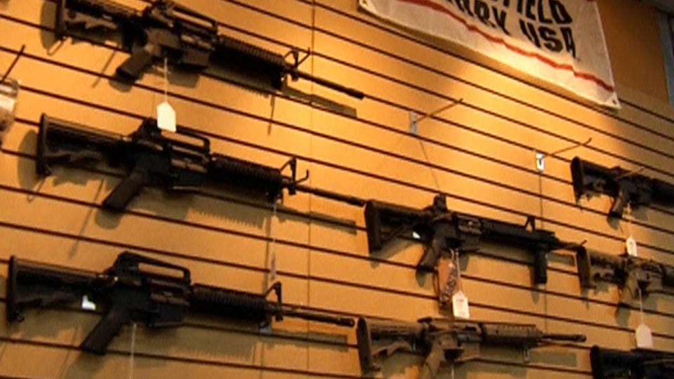 H10 gun control