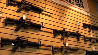 H10 gun control