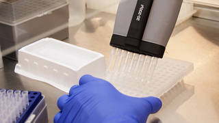 H15 trump fetal tissue stem cell research