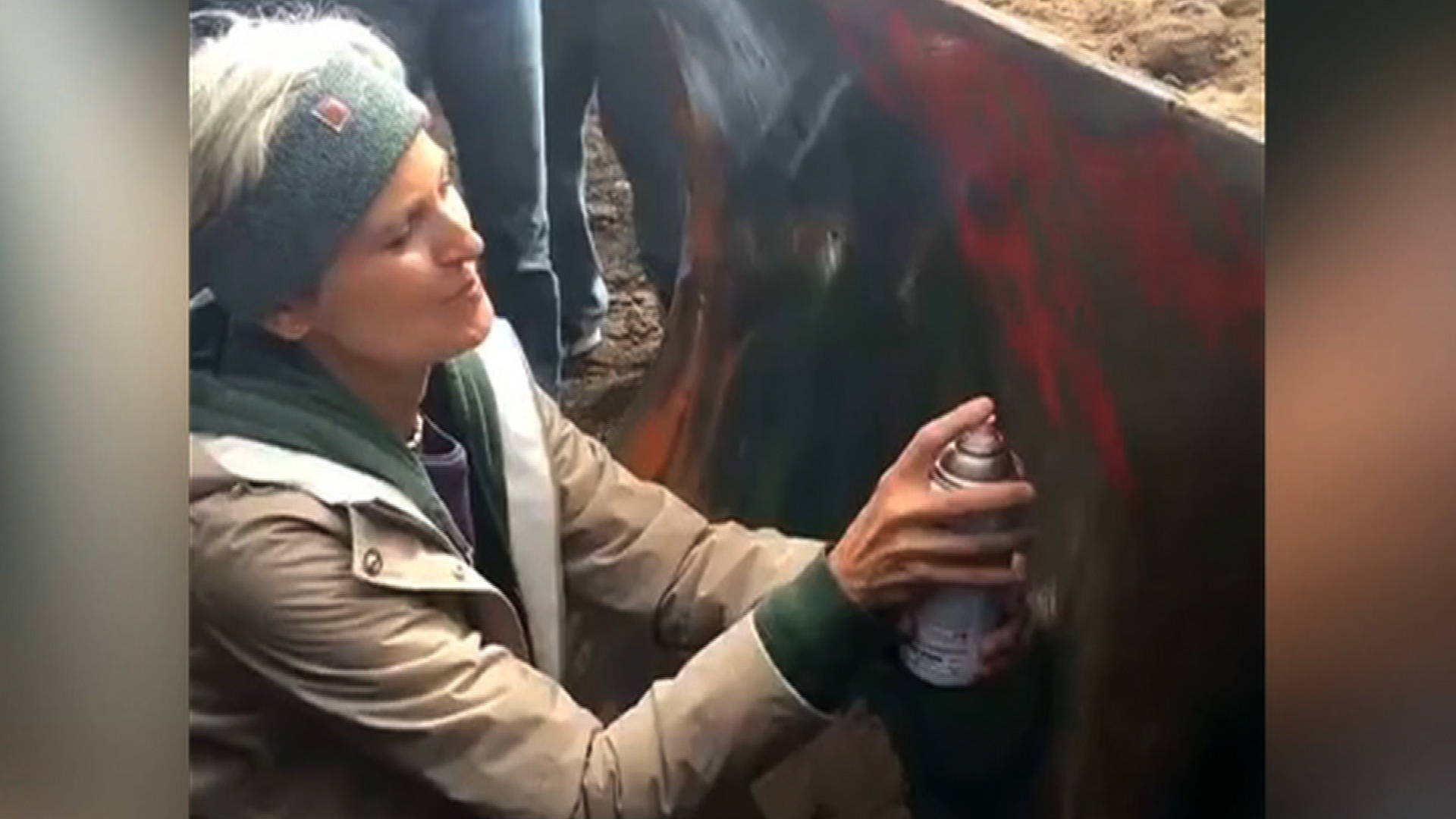 Jill Stein Jill Stein