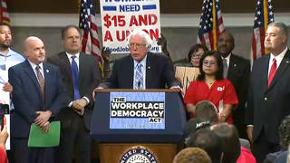 H11 bernie sanders workplace democracy act