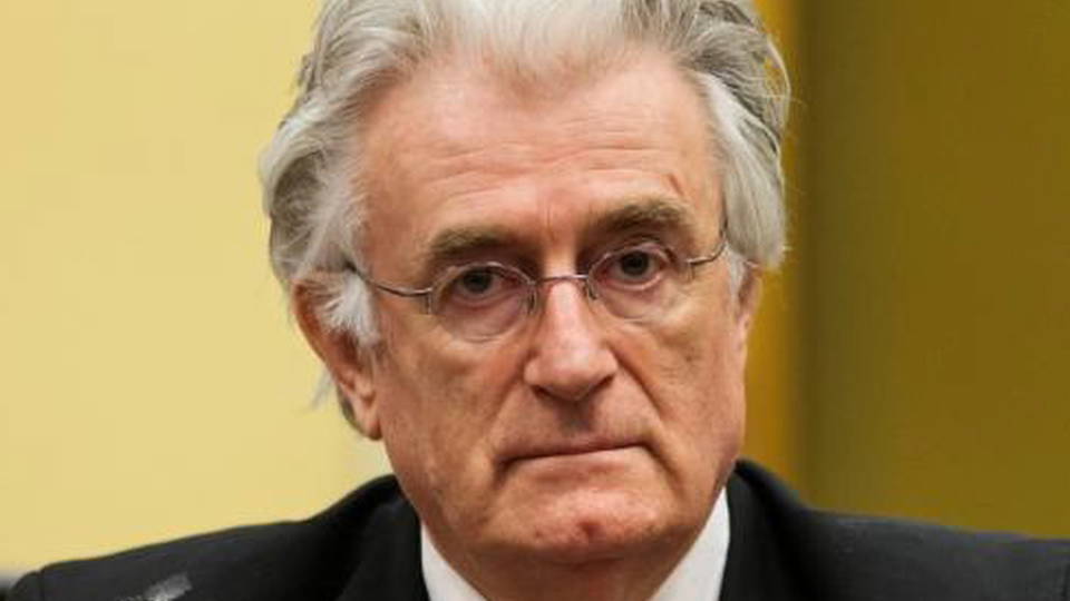 Hdlns1 karadzic