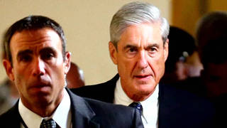 H11 mueller