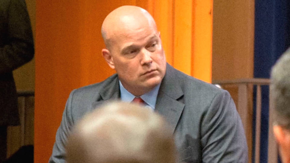 H10 whitaker