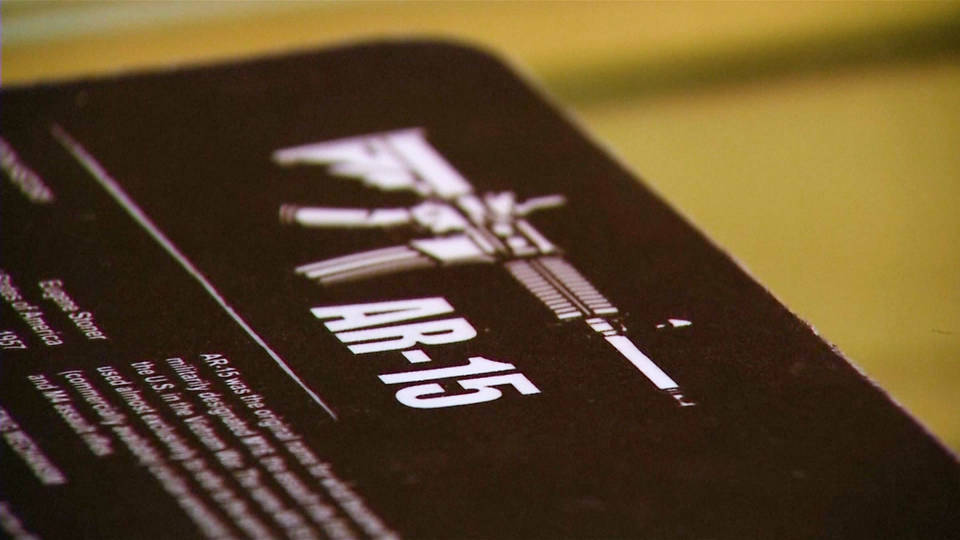 H4 dicks sporting good guns