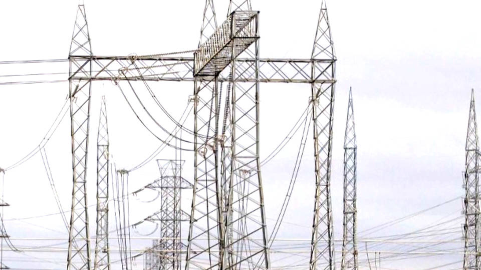 H11 pge