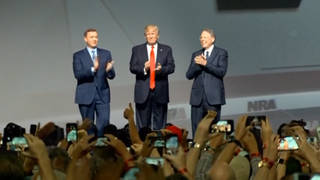H3 trump nra2