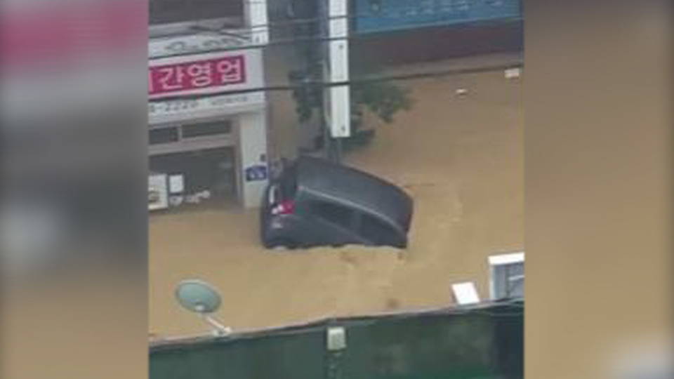 H02 typhoon chaba