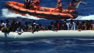 H10 migrants