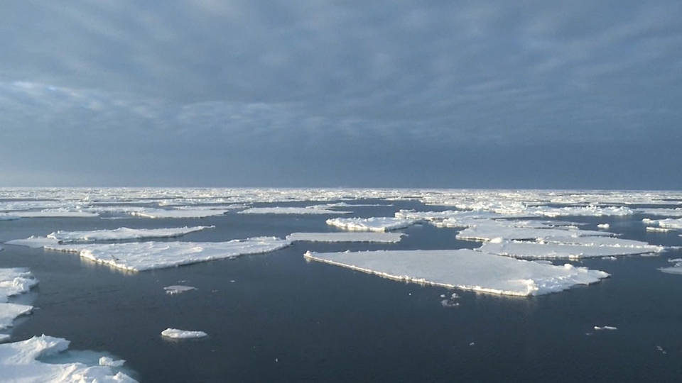 H9 study 2019 hottest year for worlds oceans on record