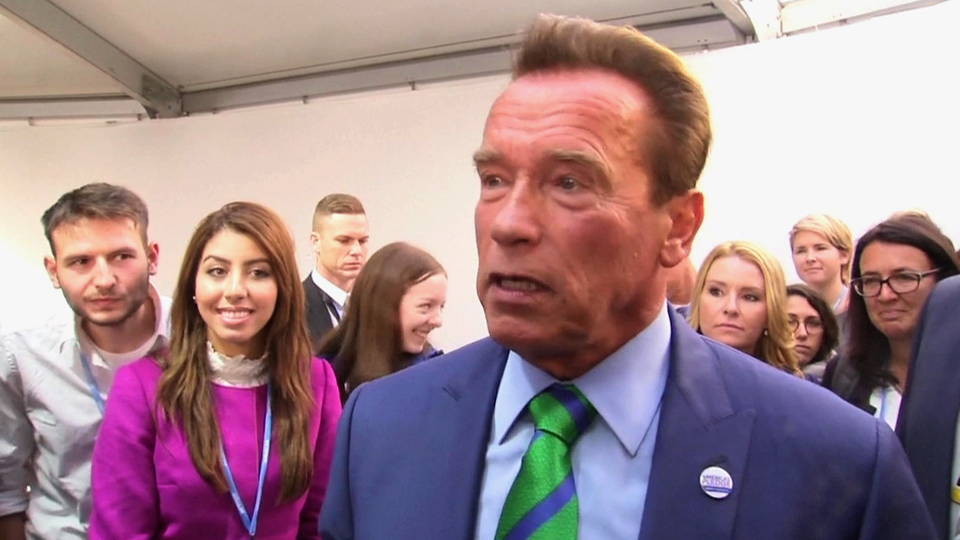 h11 arnold allegations