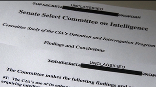 Hdls8 cia torturereport
