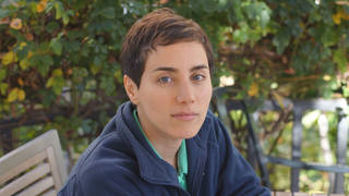 H13 mirzakhani
