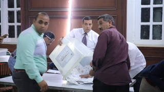 H7 egypt elections