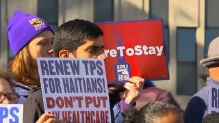 H5 hatian tps