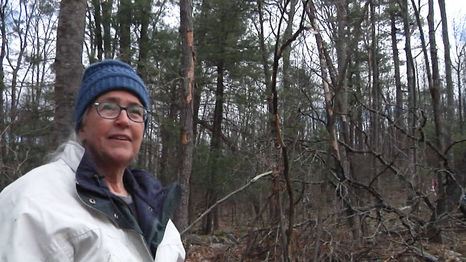 H10 pa grandmother arrested for resisting pipeline on own land