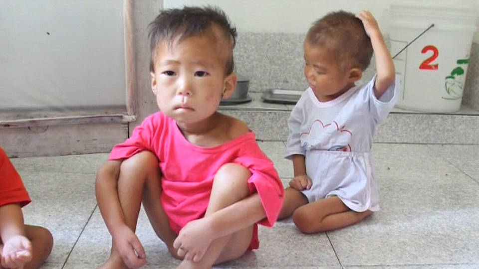 H7 north korea food assistance