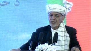 H8 afghan conditional ceasefire