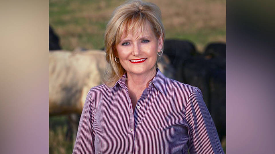 H3 cindy hyde smith 2