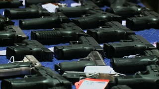 Guns generic