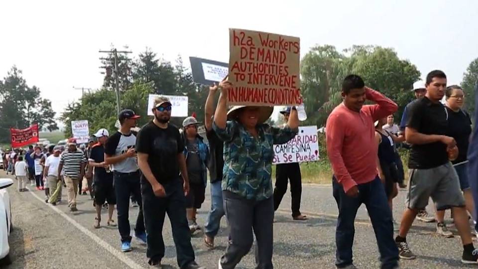 H12 farmworkers wa