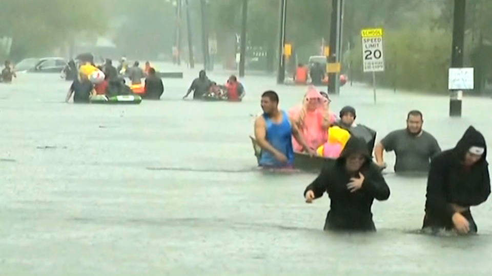 H01 harvey