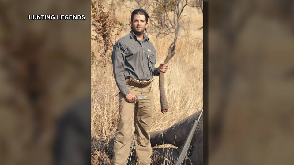 h17 trump jr elephant kill