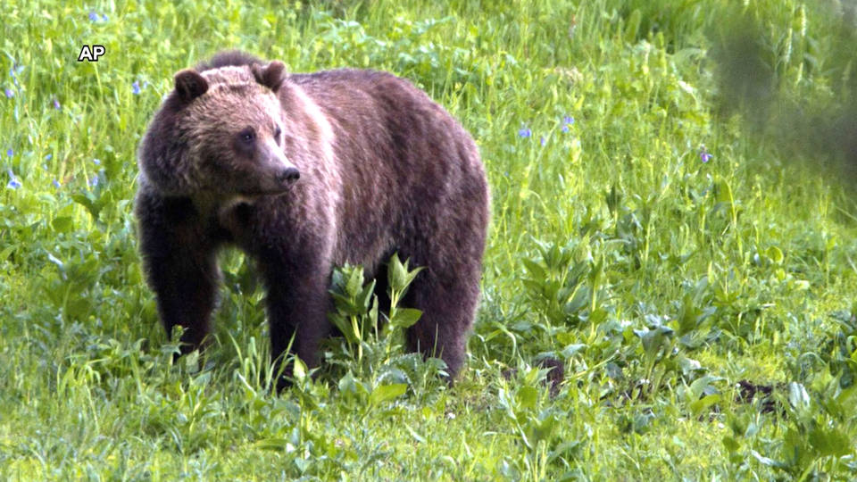 H13 trumps defunds conservation program llcs landscape cooperatives