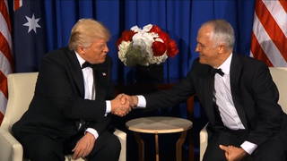 Trump turnball