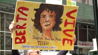 Hdlns6 berta