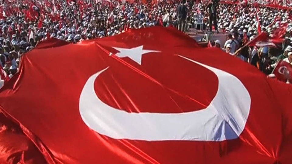 H08 turkey