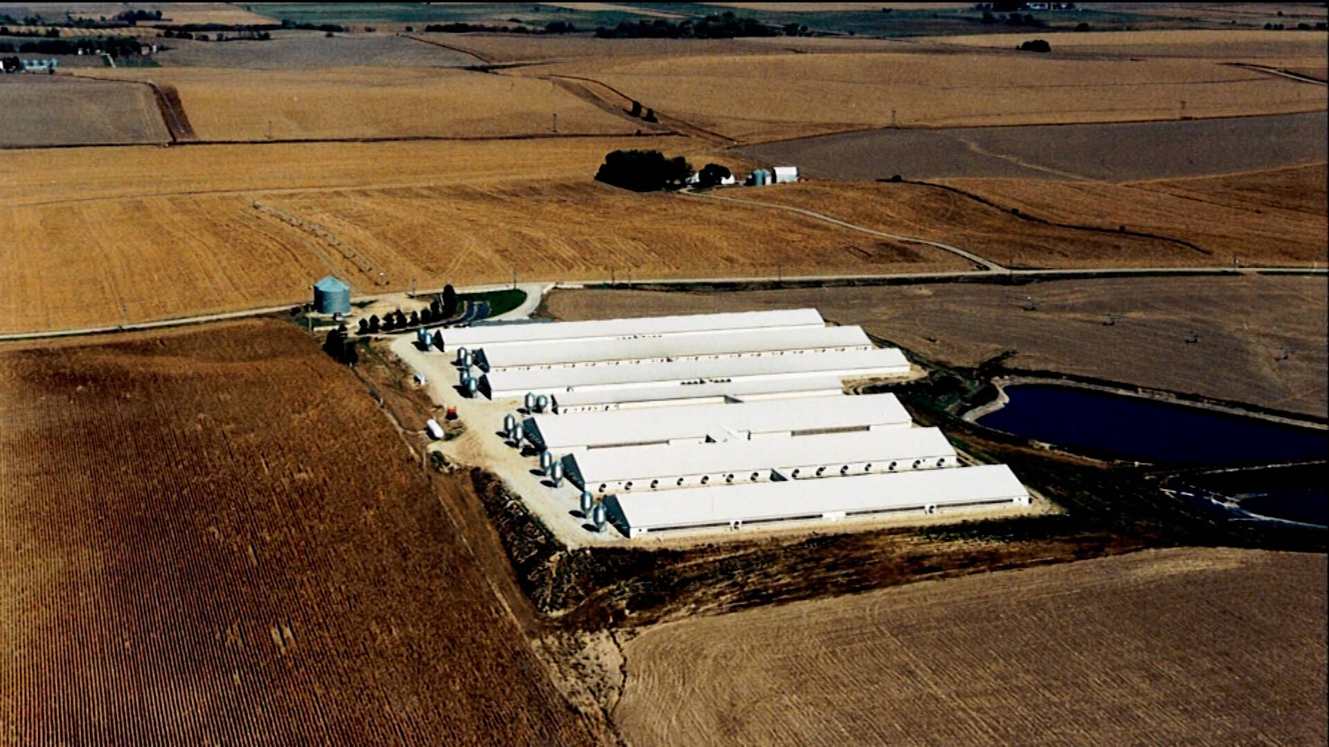 NYT and Flatwater Free Press: Nebraska’s GOP Governor Backs Trump’s ICE Raids as his Hog Business Employs Undocumented Workers