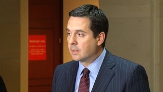 H04 nunes