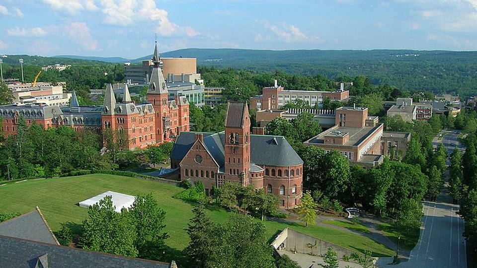 H17 cornell